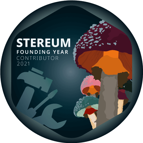 2021 Stereum Contributor