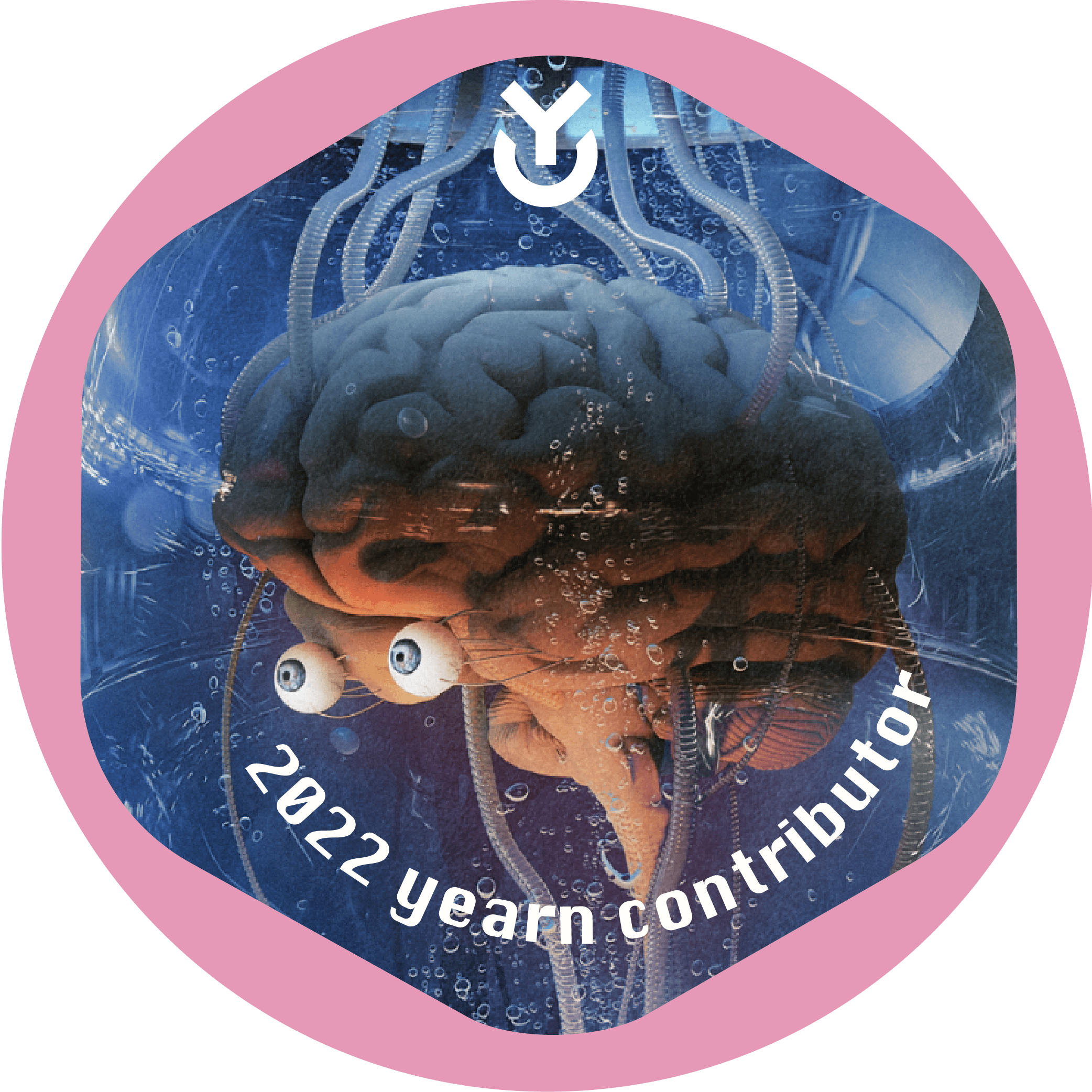 2022 Yearn Contributor