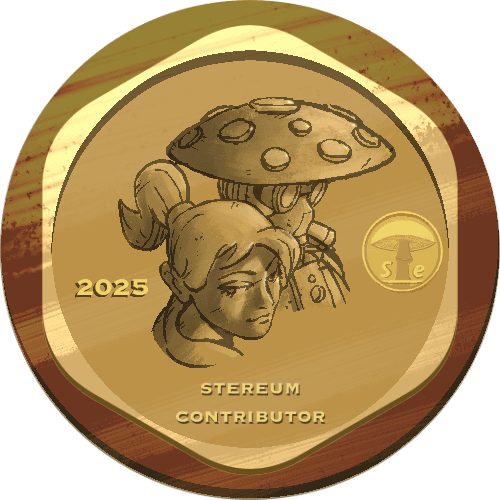 2025 Stereum Contributor